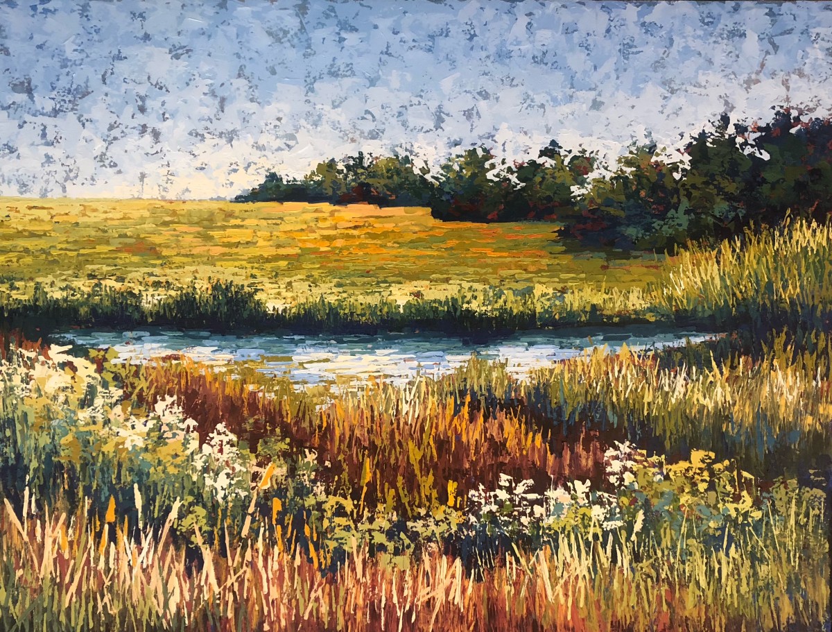 Rodanthe Marsh by Karin Neuvirth 