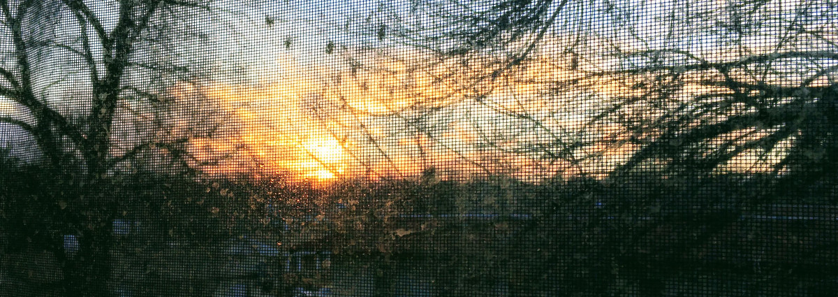 Northglenn High School Photo Project. What makes community? by Asbin Ghimire, Grade 10 