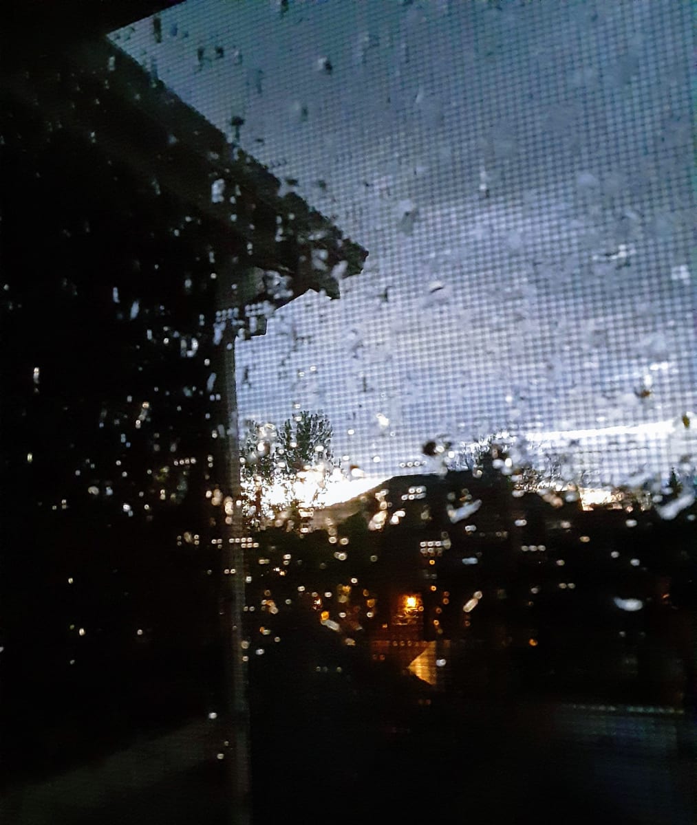 Northglenn High School Photo Project. "Pandemic" by Leena Chun 