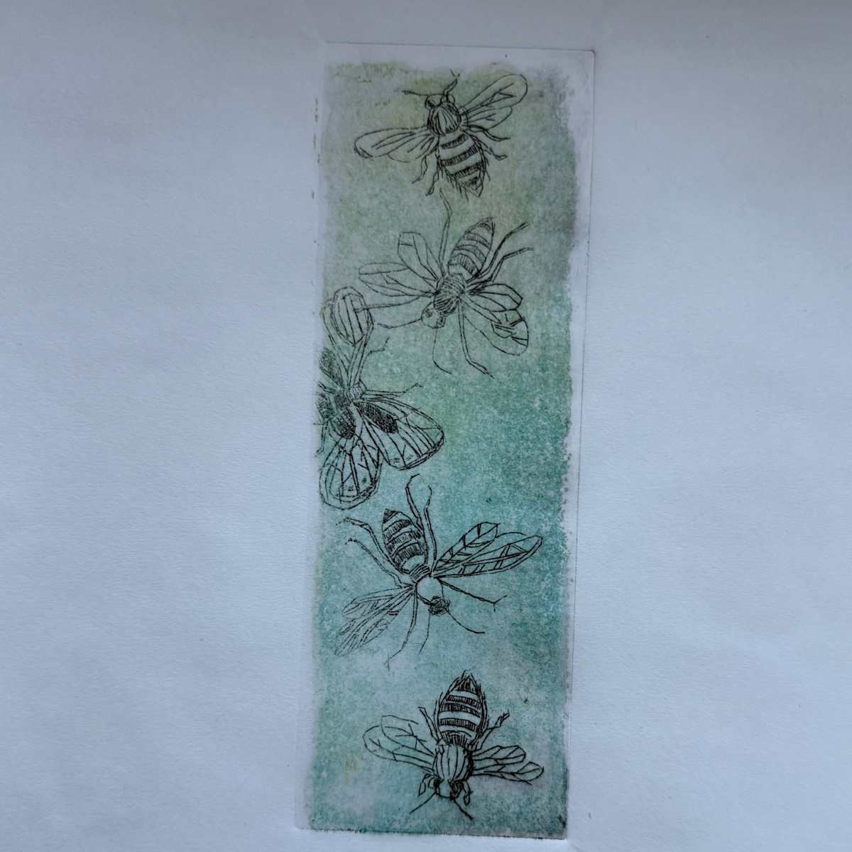 Insects by Scott D.S. Young  Image: This piece is a layered print that captures the organic movements of the insects through intricate printmaking techniques. 