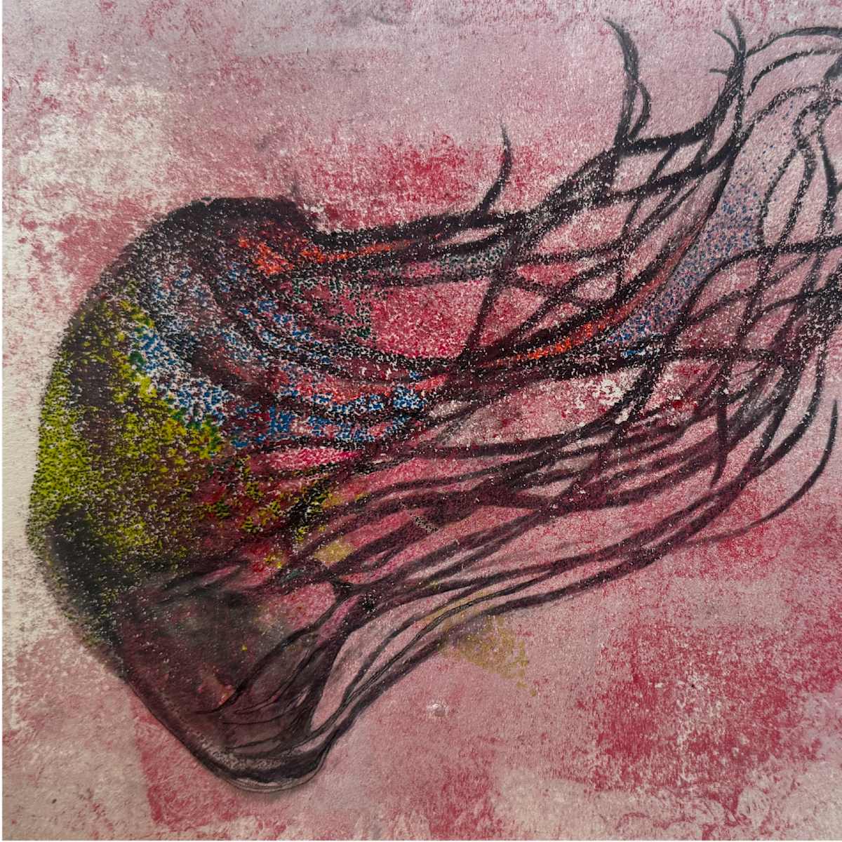 Black Sea Nettle by Scott D.S. Young  Image: Click on the thumbnail