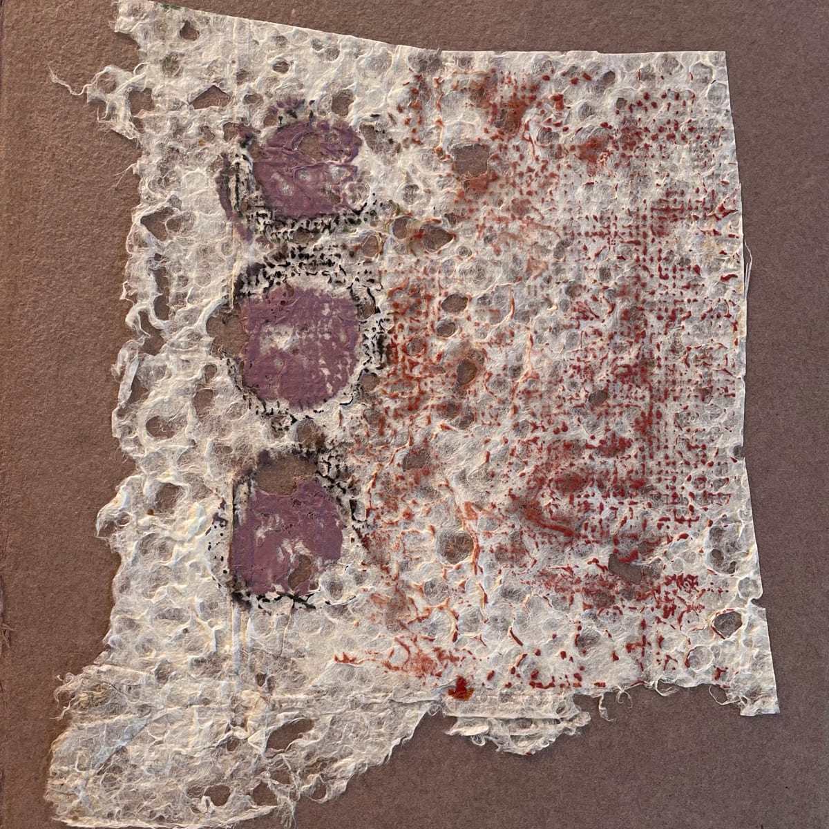 Oaxaca Abstract Floral by Scott D.S. Young 