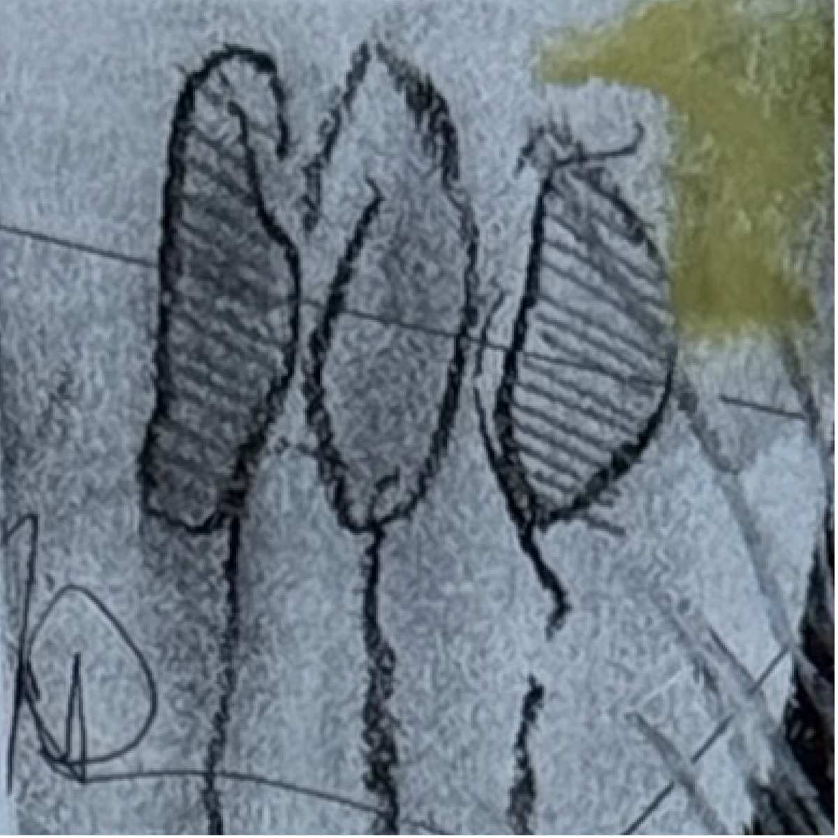Continuity across the grid by Scott D.S. Young, Image 1.