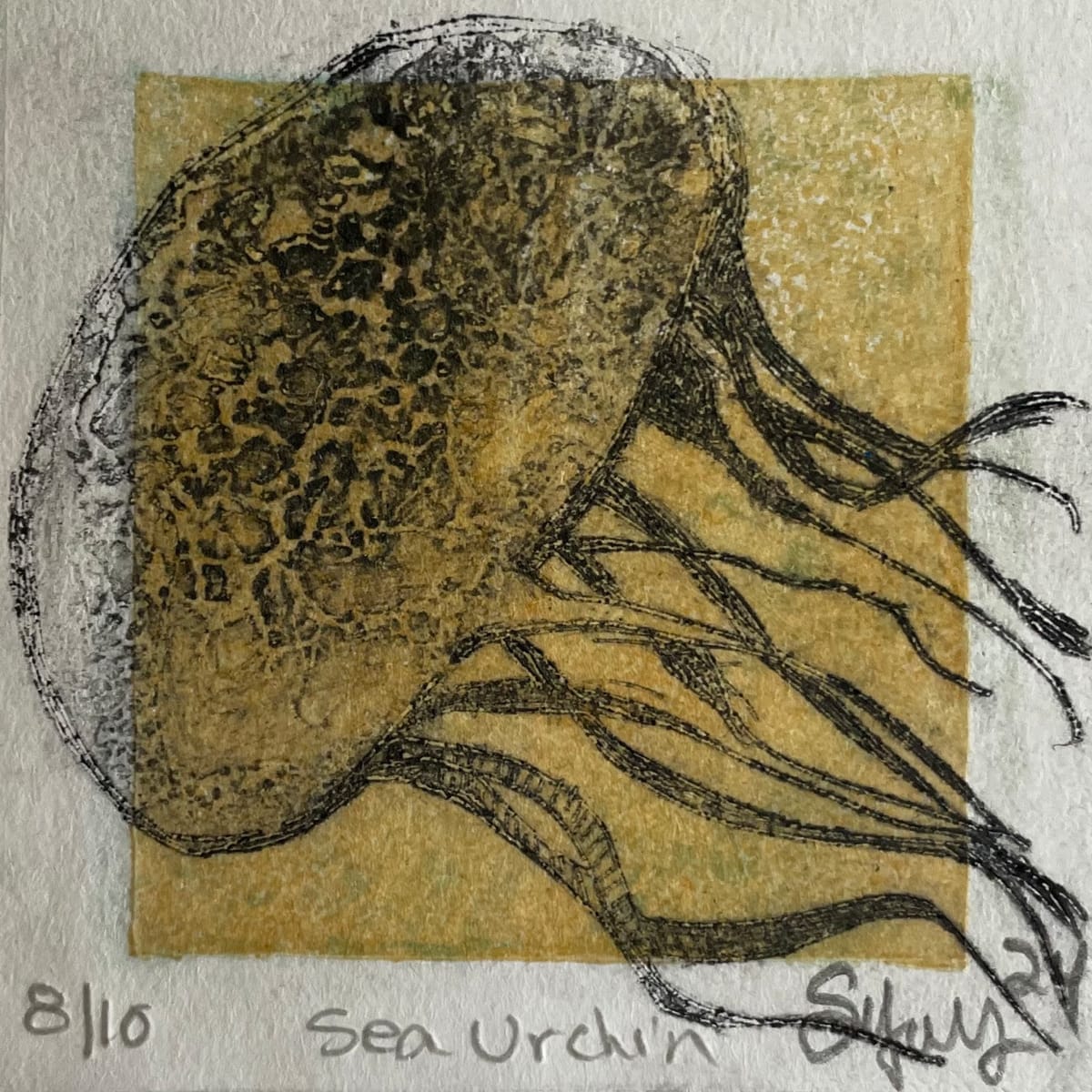 Black JellyFish by Scott D.S. Young, Image 1.
