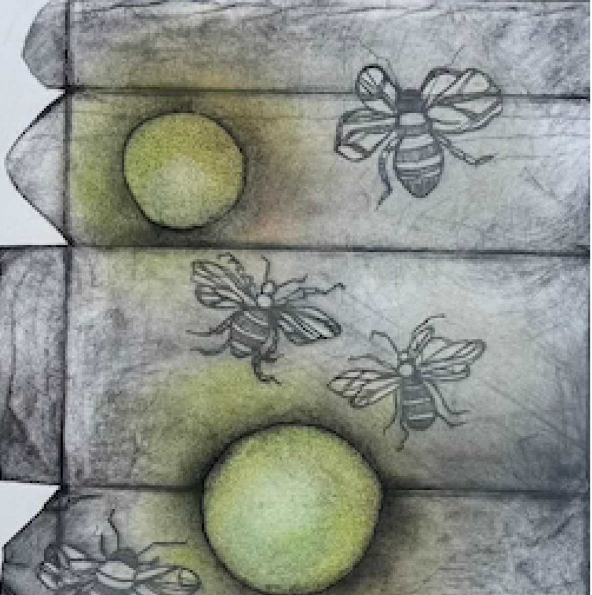 Drawn to the Light by Scott D.S. Young 