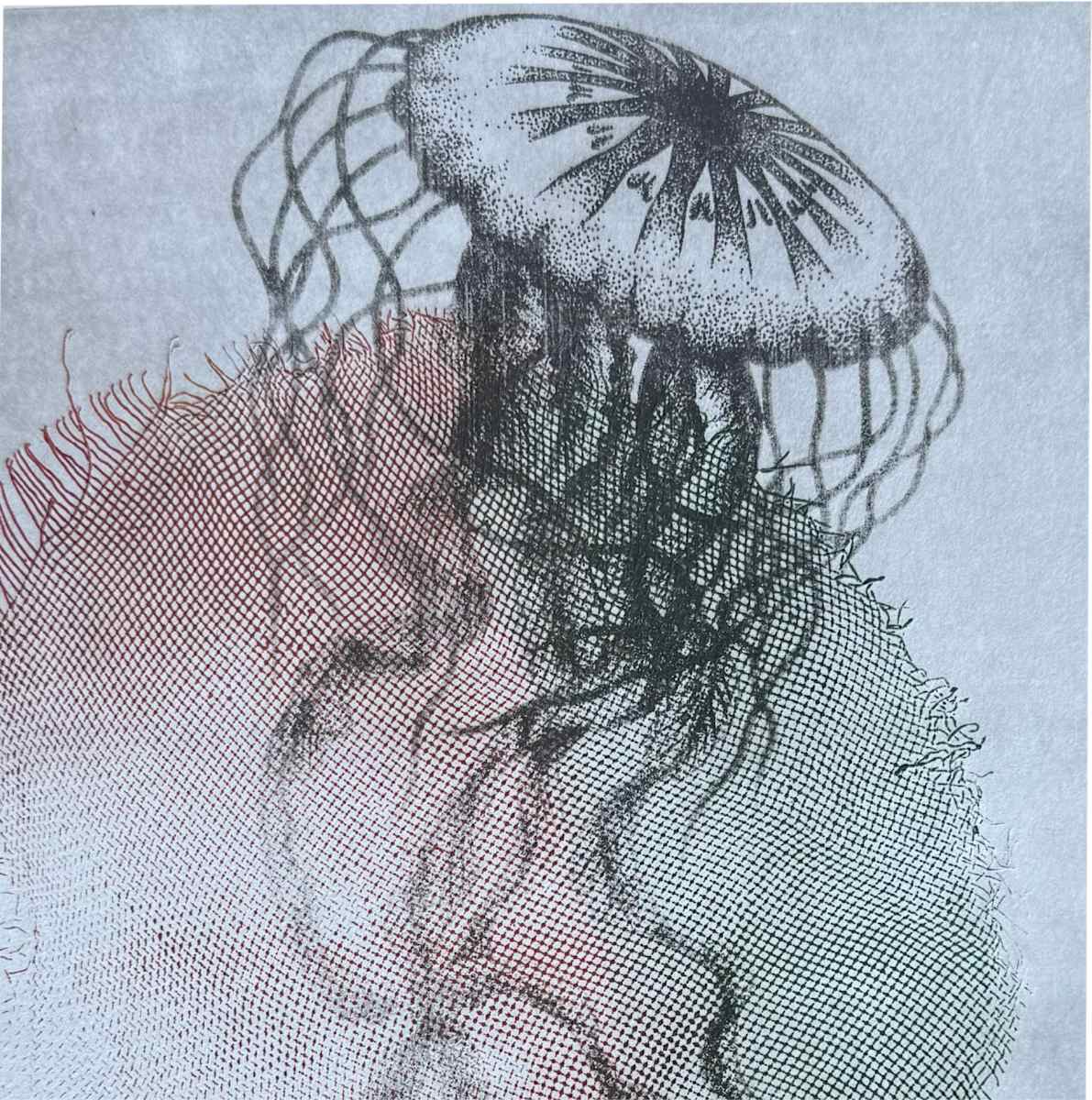 Jellyfish by Scott D.S. Young 