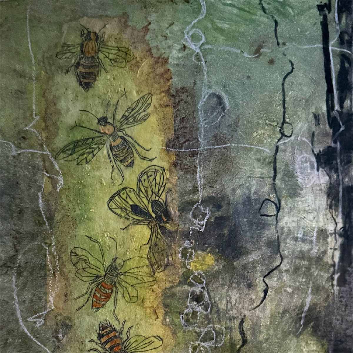 The Pollinators' Dance by Scott D.S. Young, Image 1.