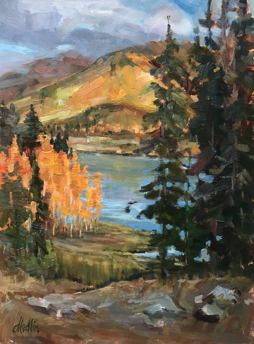 A New Perspective by Tammy Medlin 