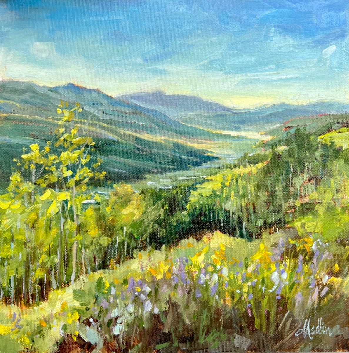 High Country Splendor by Tammy Medlin 