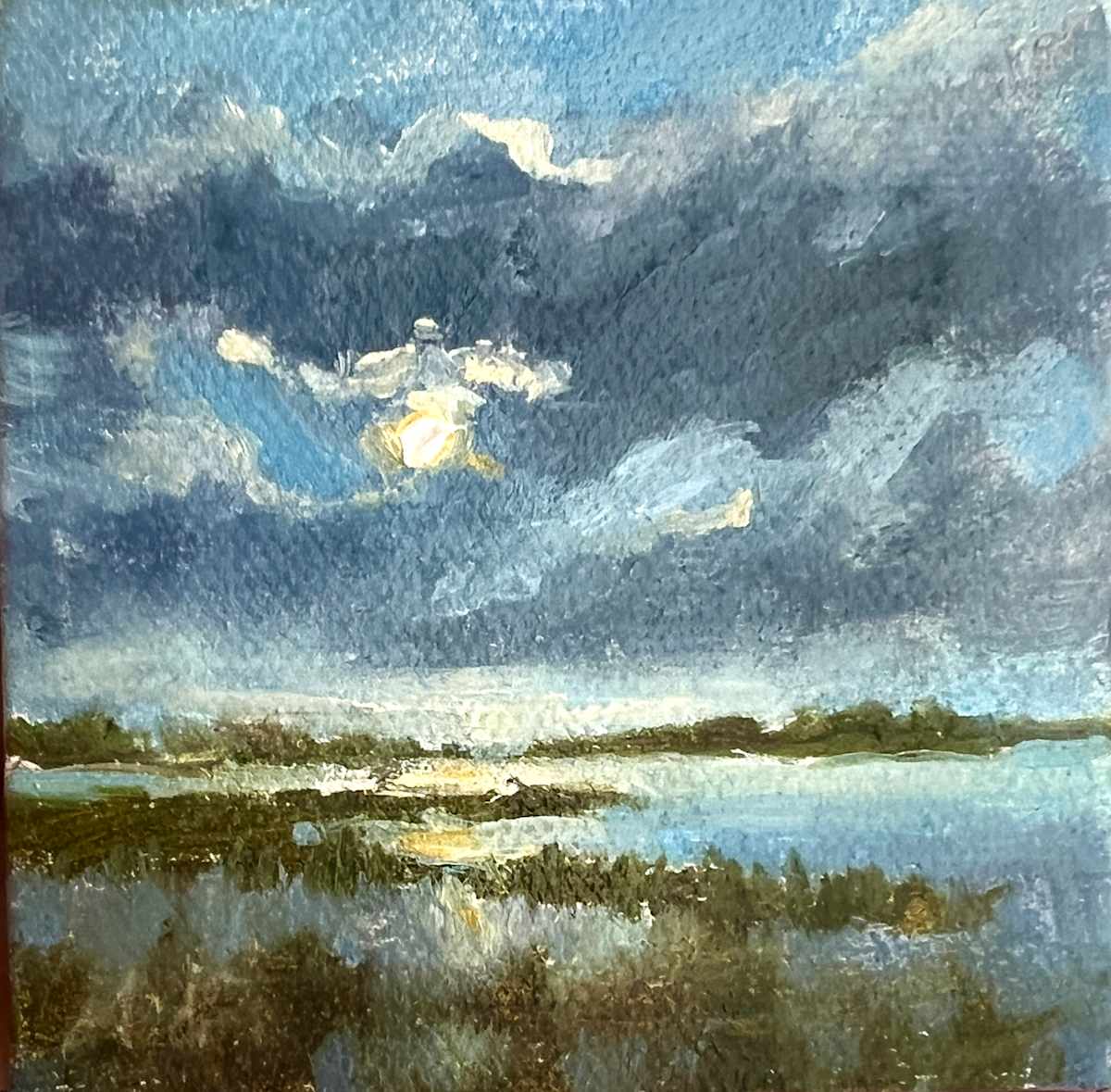Merry Marsh #11 by Tammy Medlin 