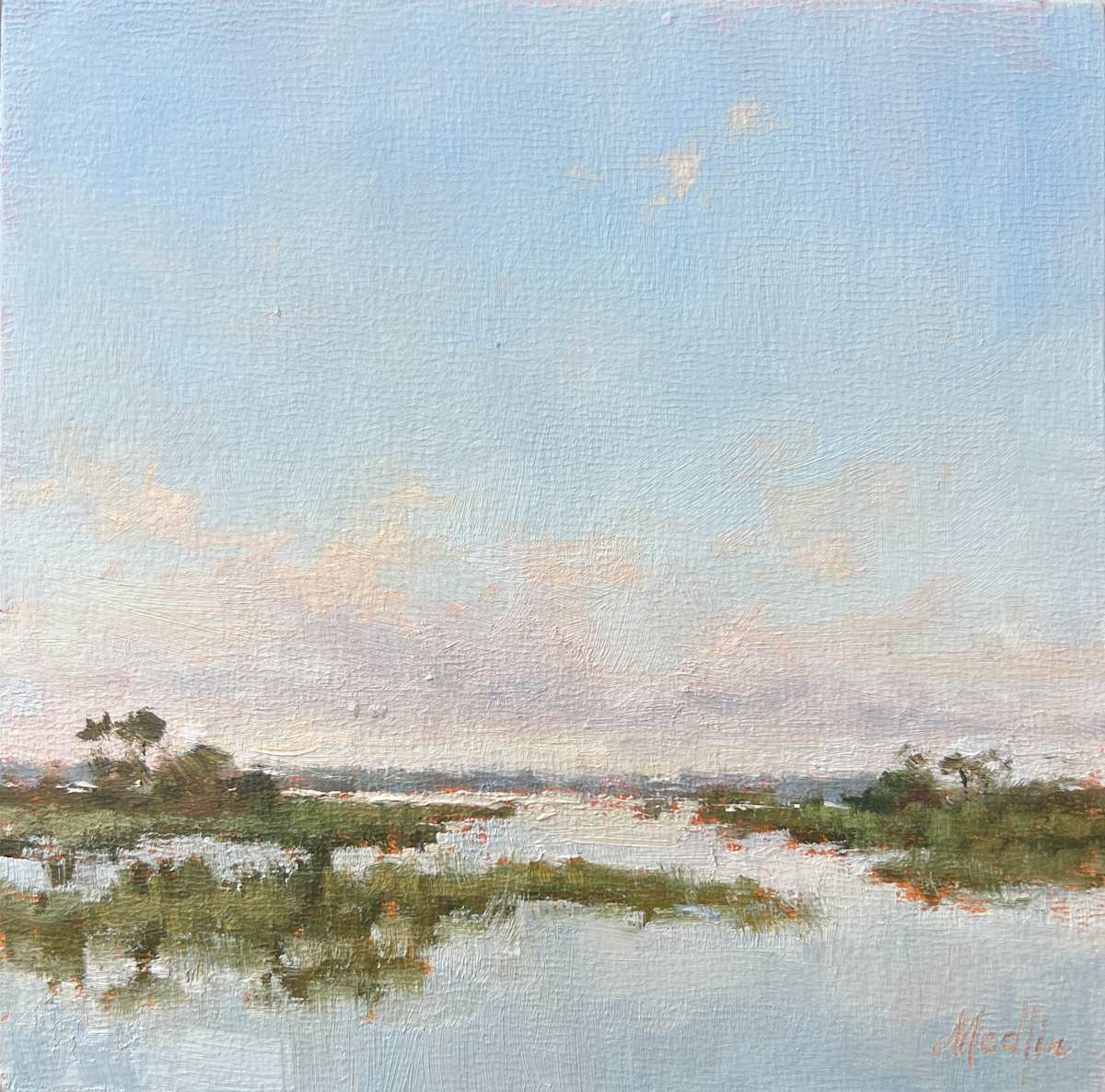 Calm Skies by Tammy Medlin 