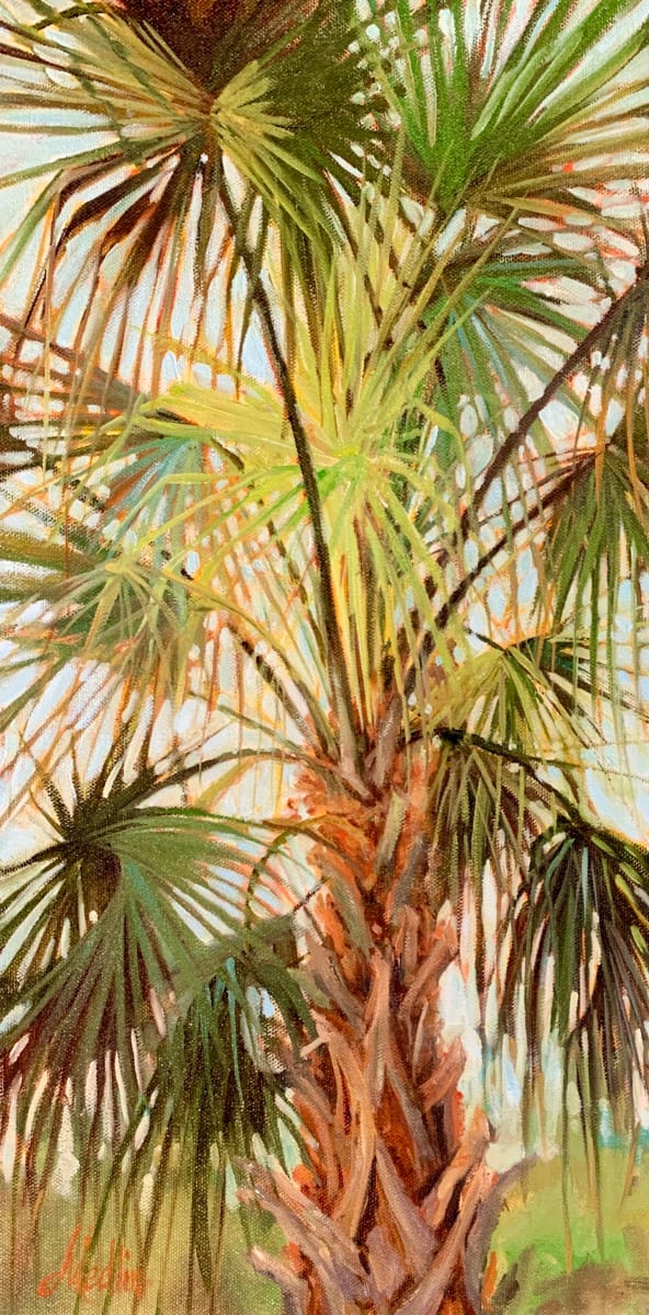 Tall Palmetto by Tammy Medlin 