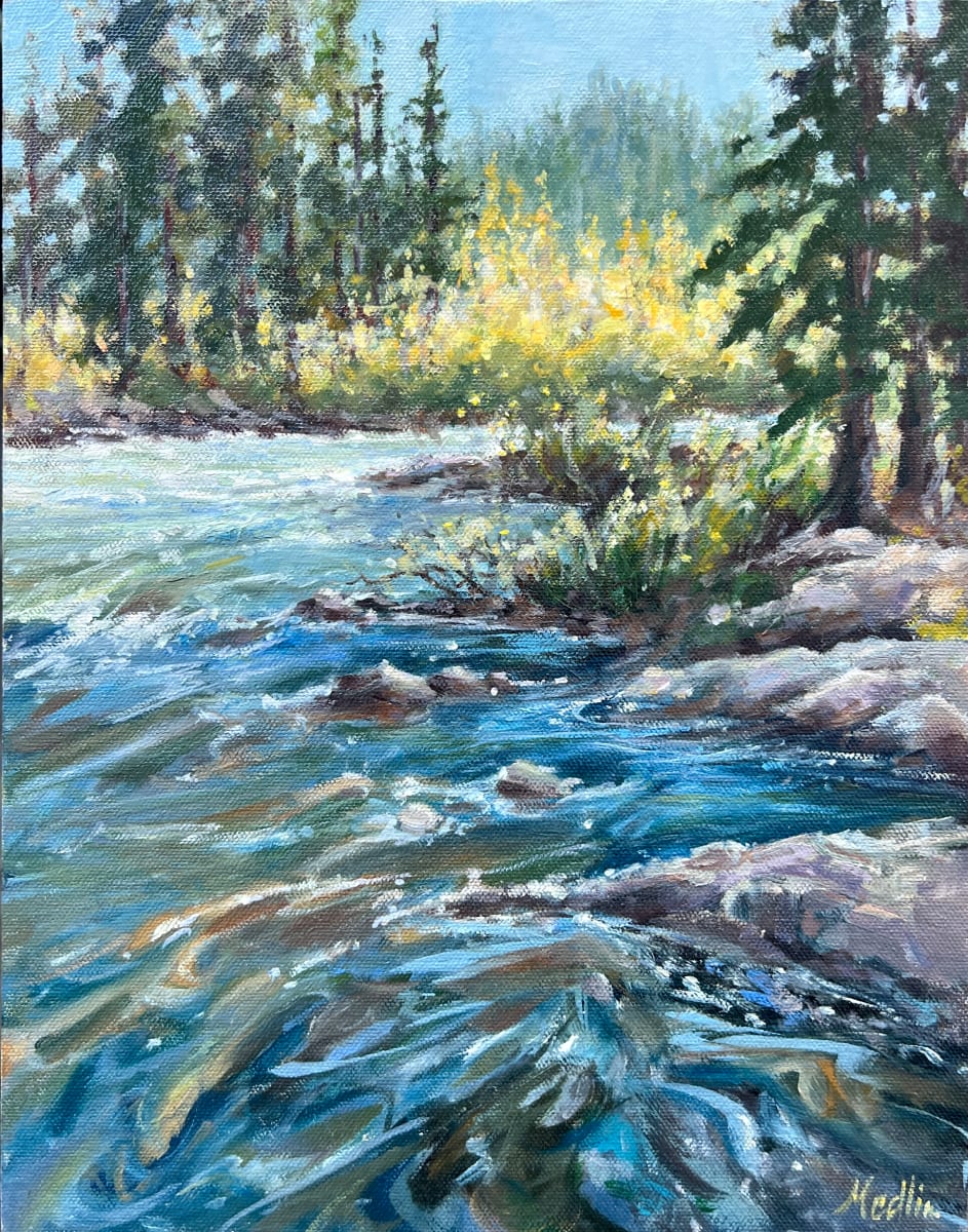 New Day On The Taylor by Tammy Medlin 