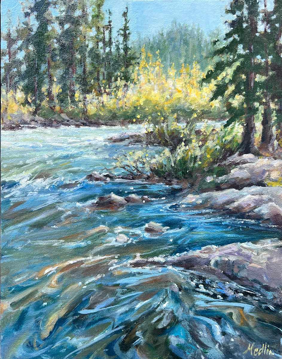 New Day On The Taylor by Tammy Medlin, Image 2.