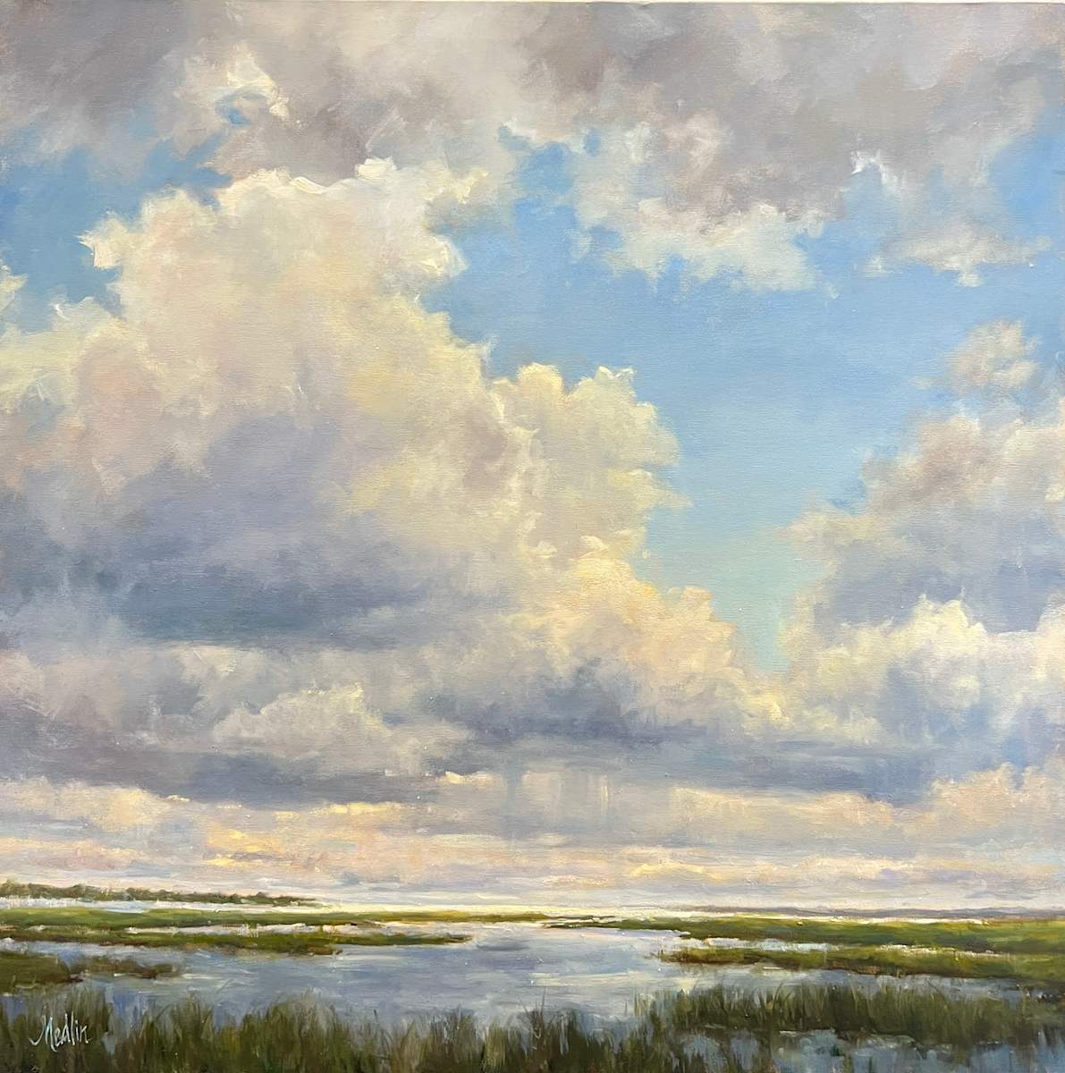 Saltwater Sky by Tammy Medlin 