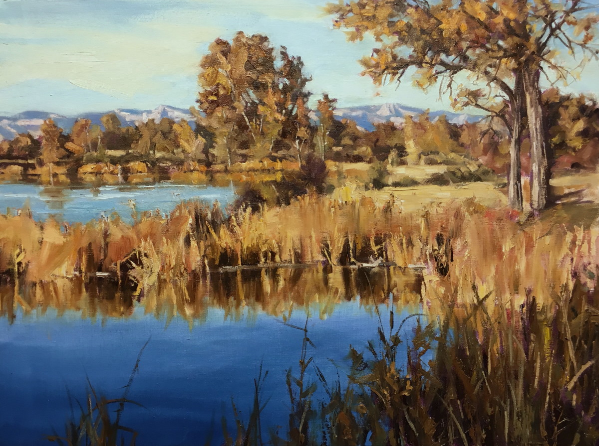 November at the Lakes by Rachel Pettit 