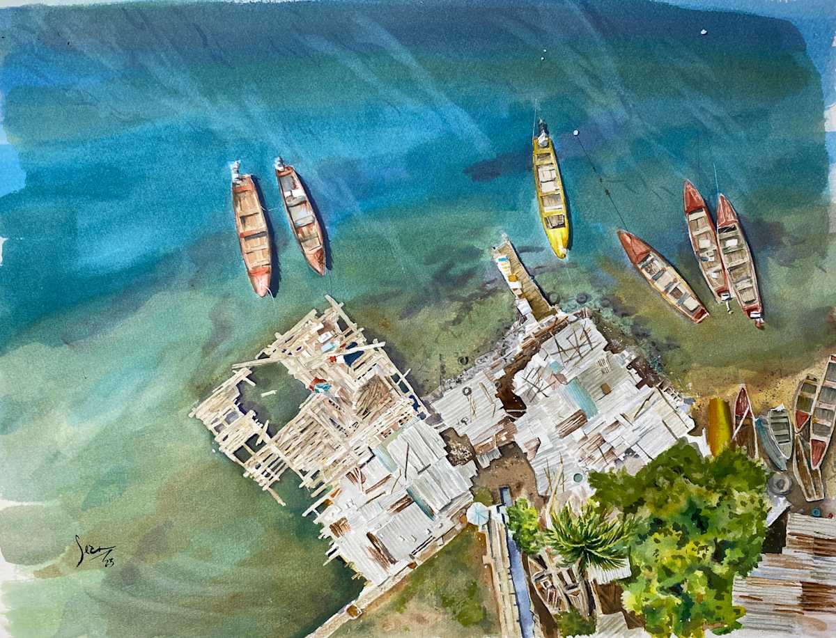 Boat lot gulls view by Sean Henry 