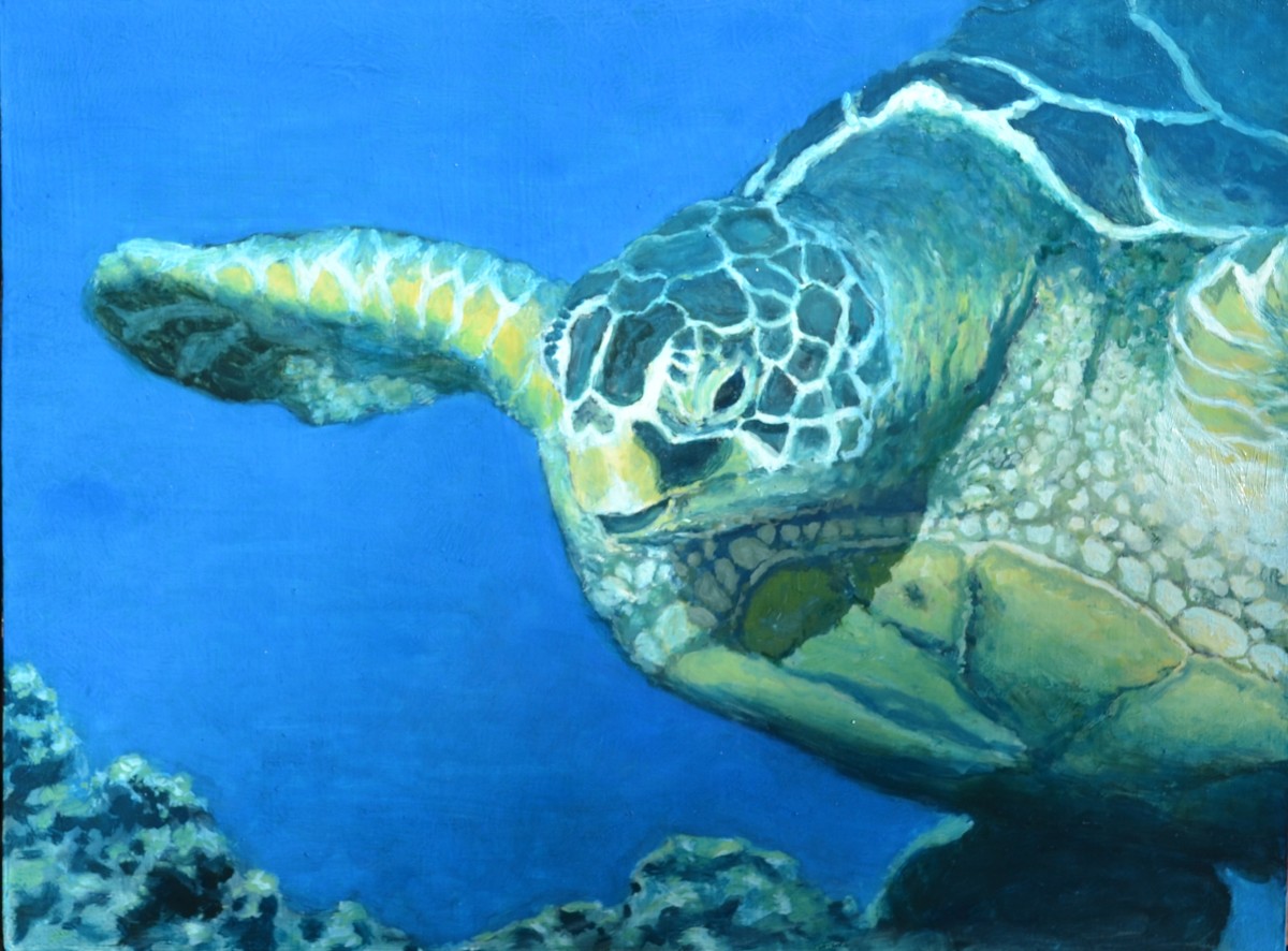 Turtle 2 by Holly Masri 