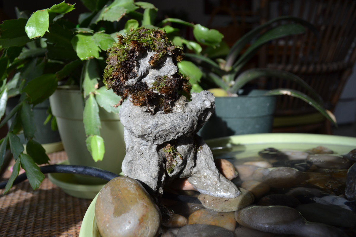 Moss-Man by Holly Masri 