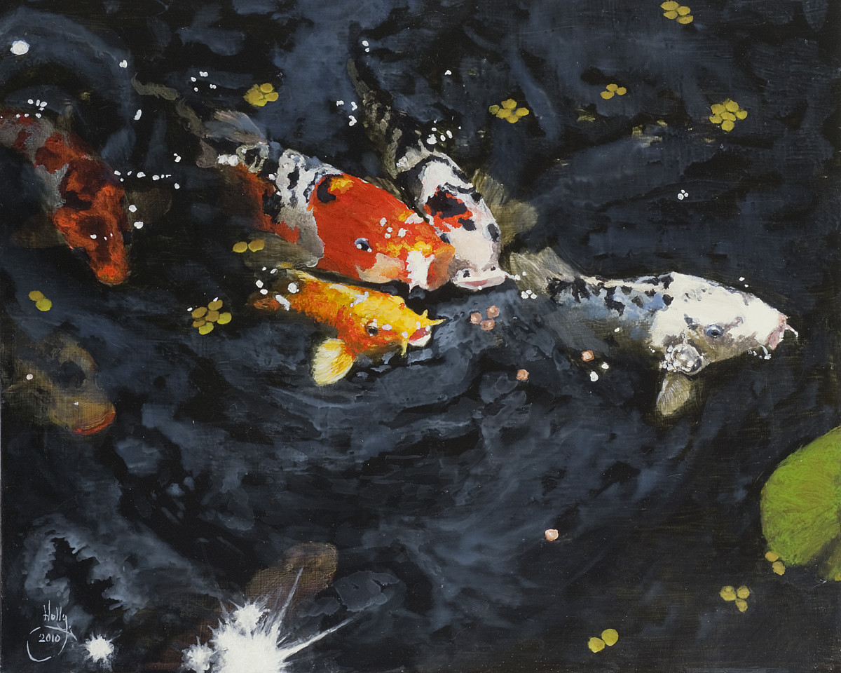 Koi Race by Holly Masri 