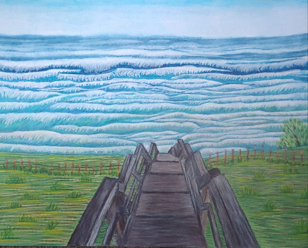 Come on Down by Barbara J Zipperer 