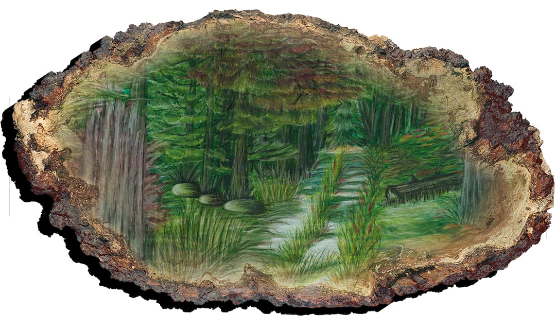 Deep Woods Trail PF by Barbara J Zipperer, Image 1.