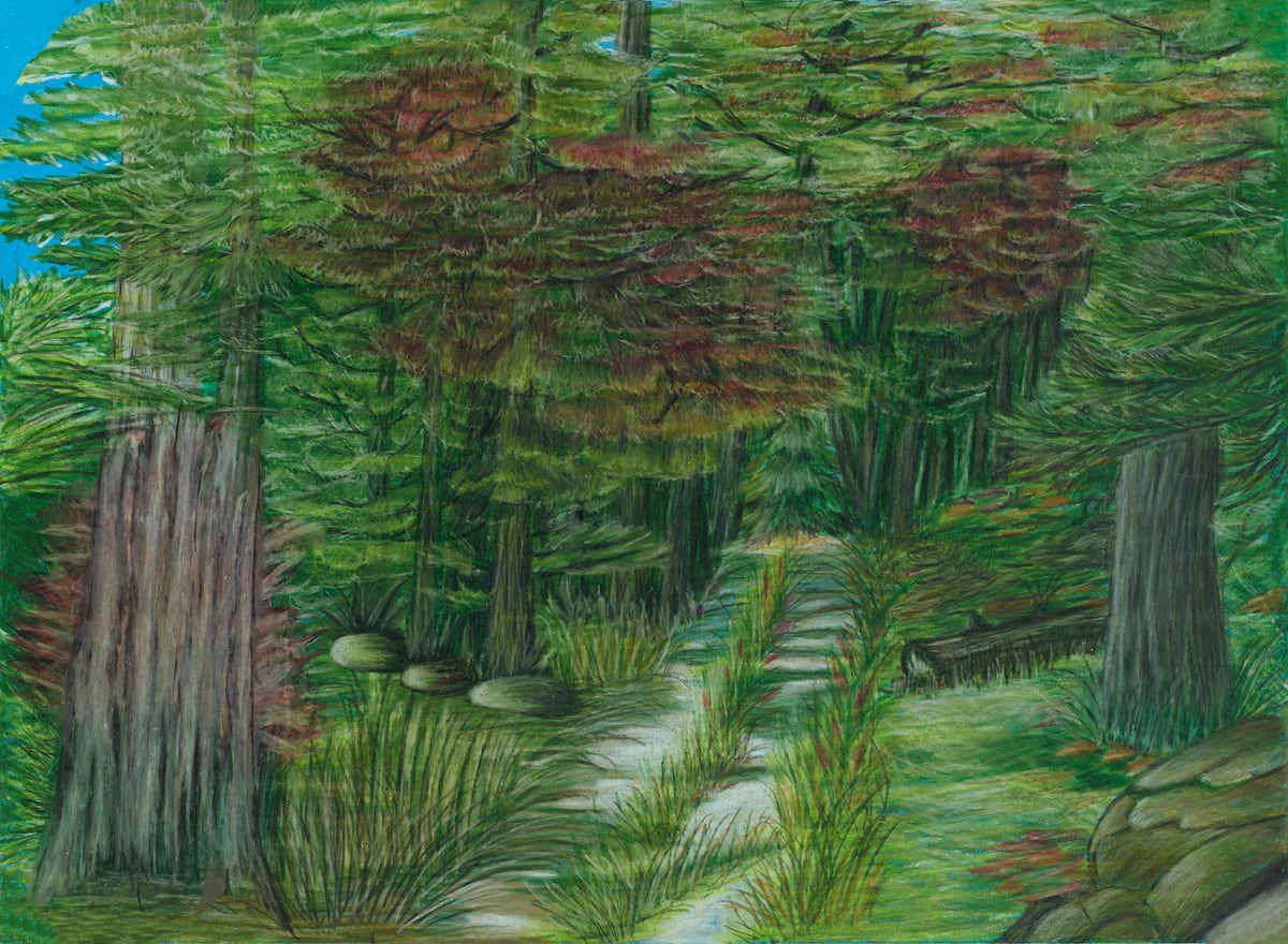 Deep Woods Trail by Barbara J Zipperer, Image 2.