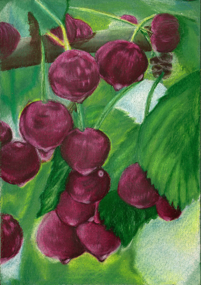Door County Cherries by Barbara J Zipperer 