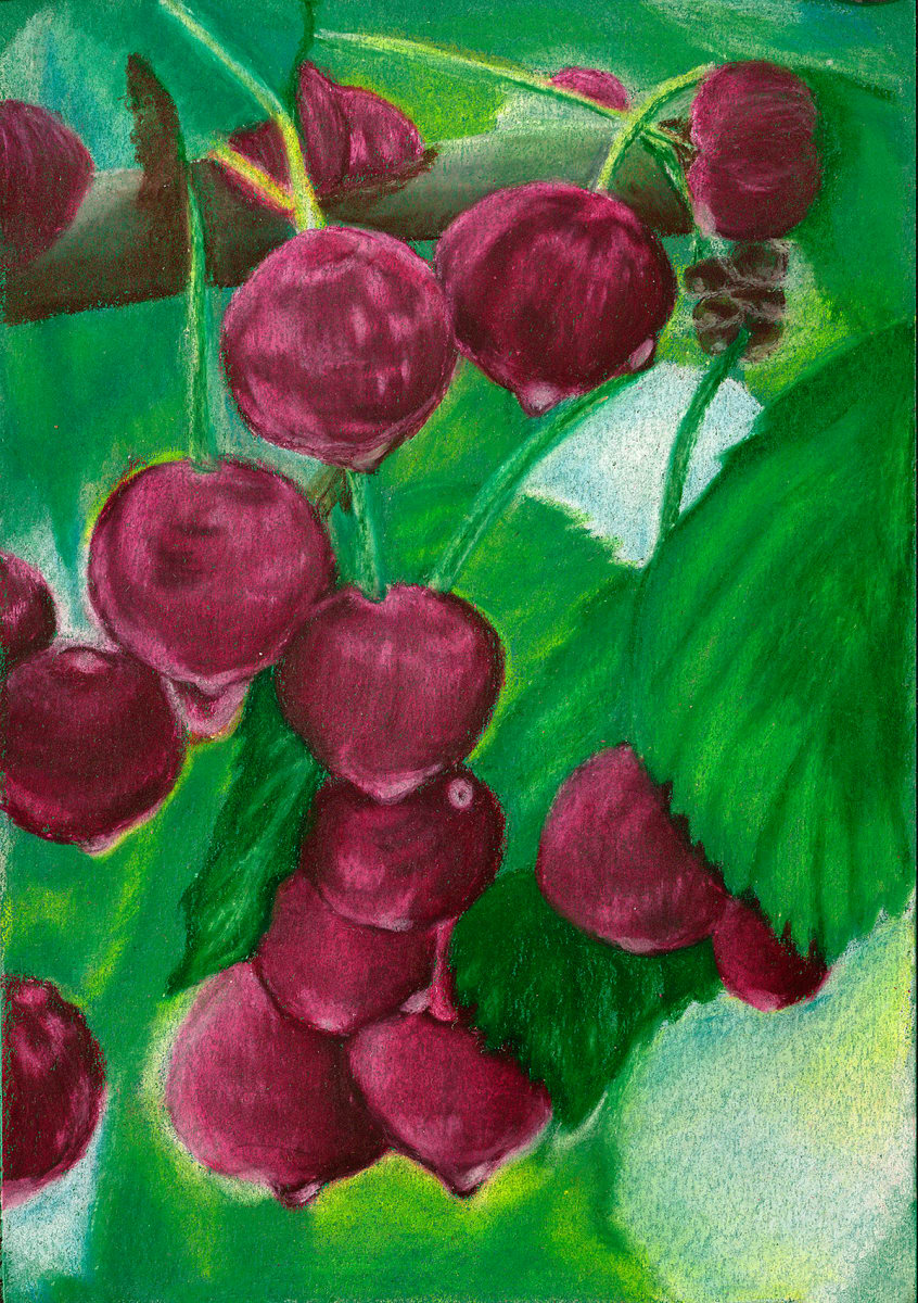 Door County Cherries by Barbara J Zipperer, Image 1.