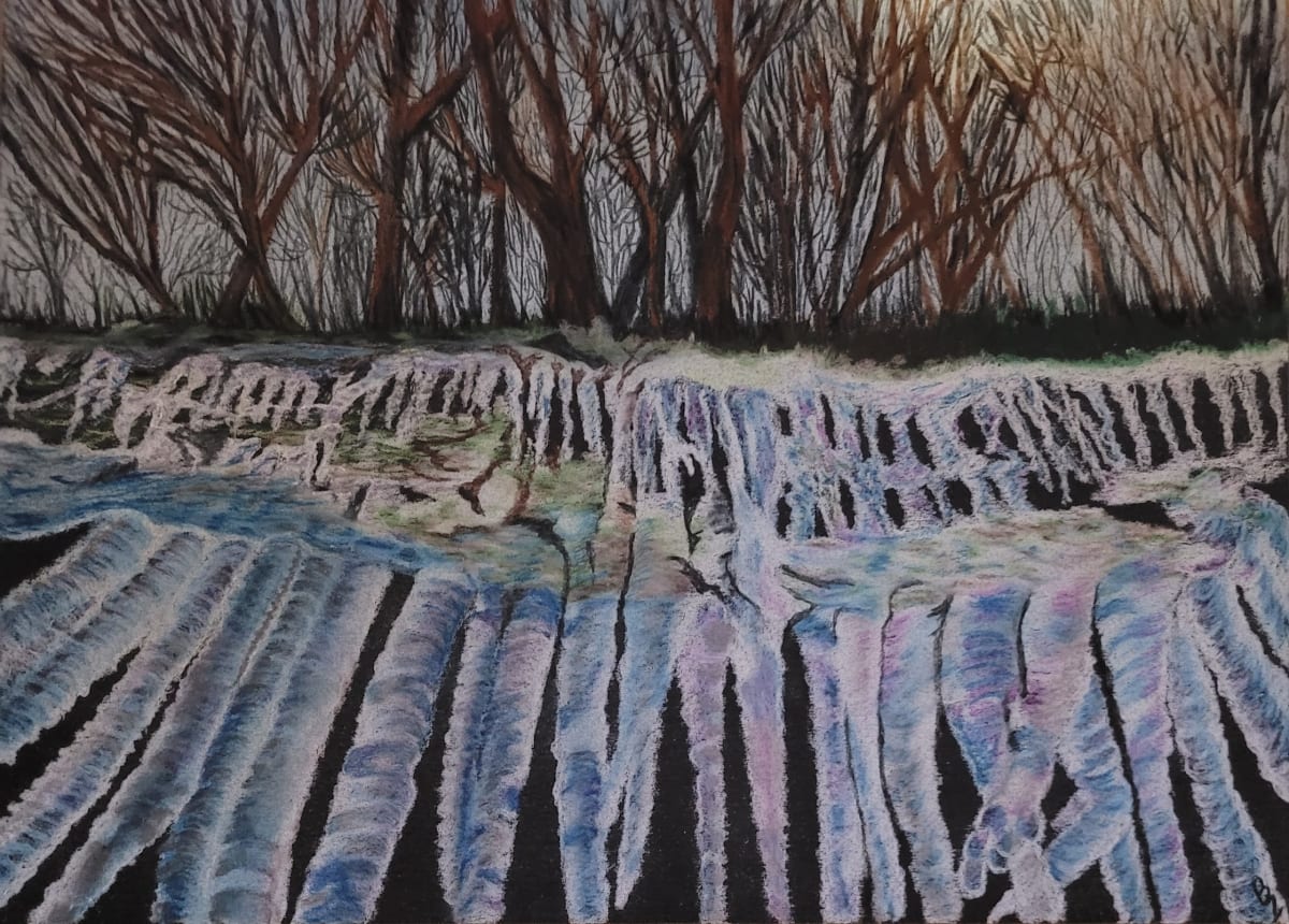 Frozen Drips by Barbara J Zipperer, Image 1.