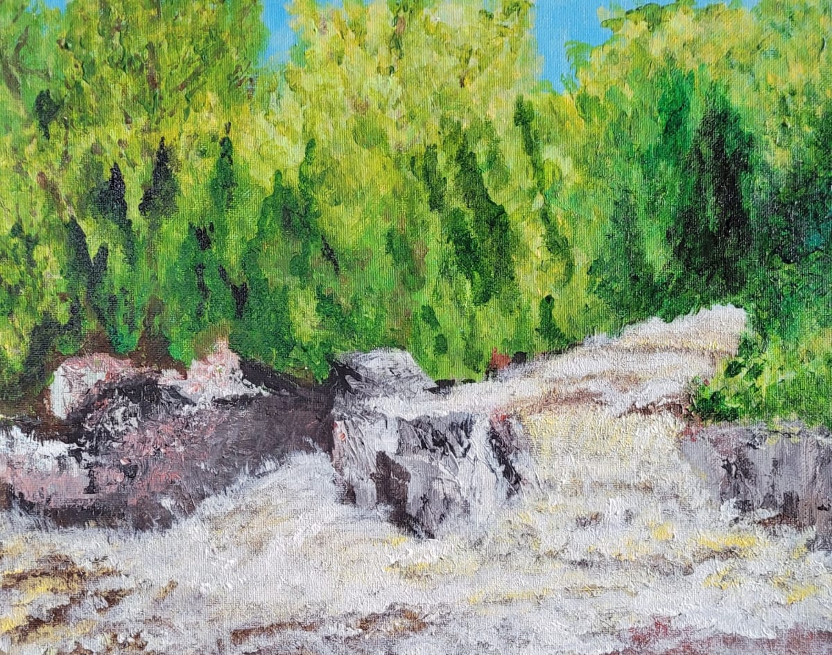 Goodman Park Upper Falls by Barbara J Zipperer 