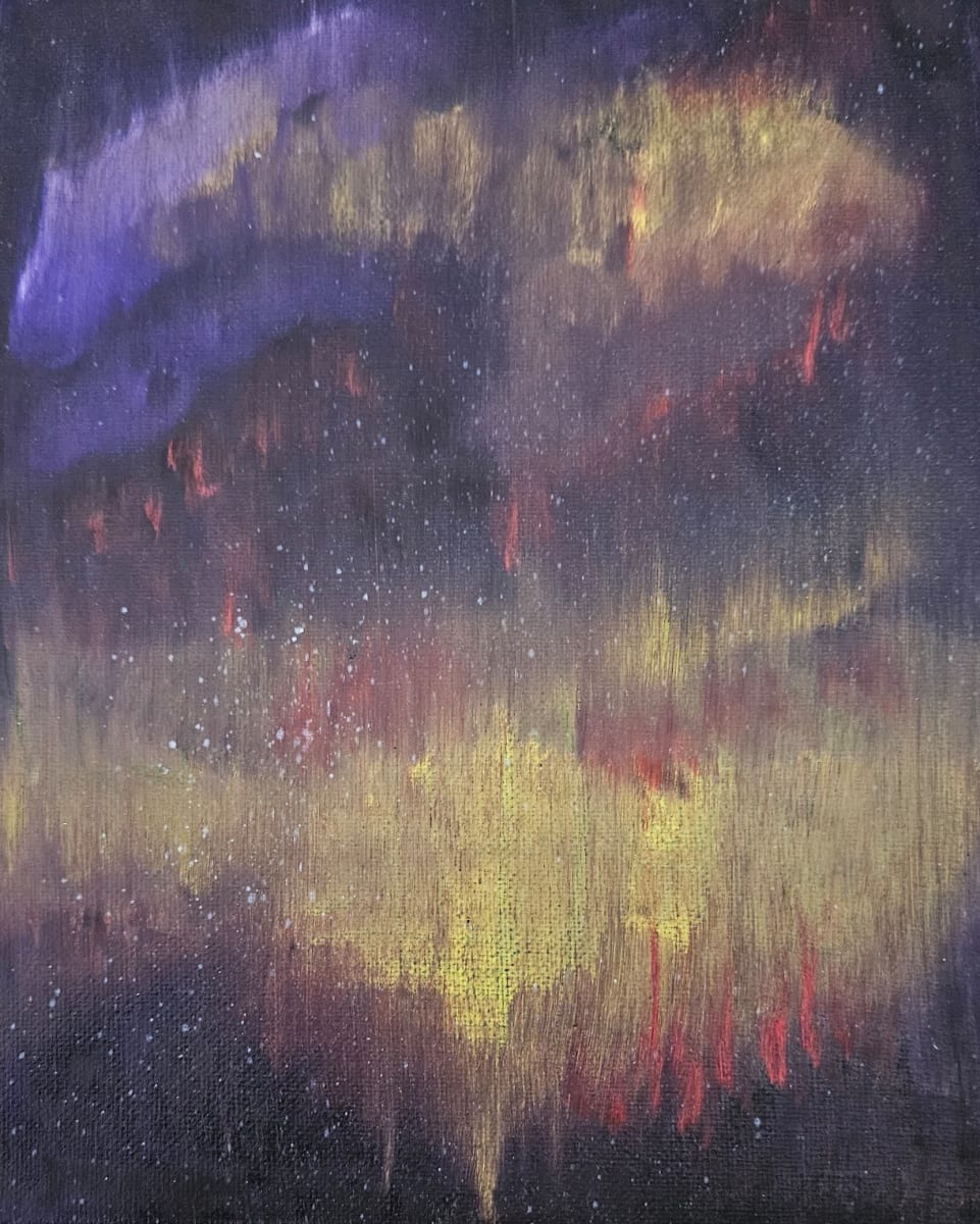 Lights On Northern Lights by Barbara J Zipperer 