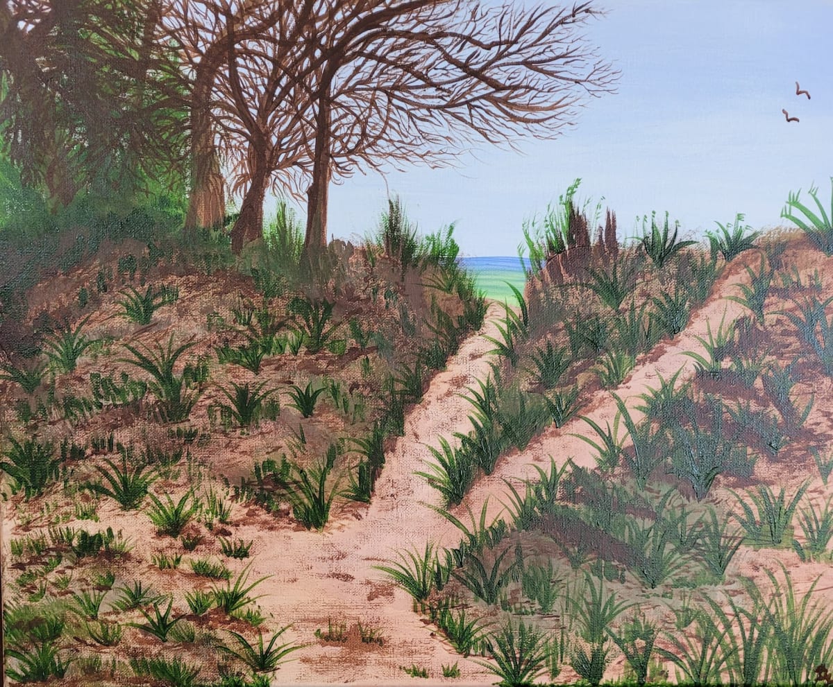 Sandunes by Barbara J Zipperer, Image 1.