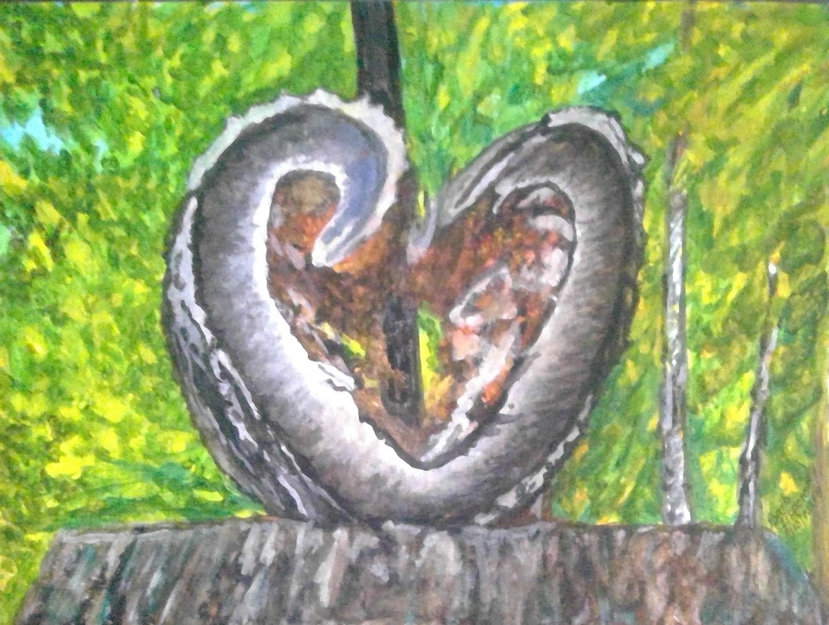 The Heart of Nature by Barbara J Zipperer 