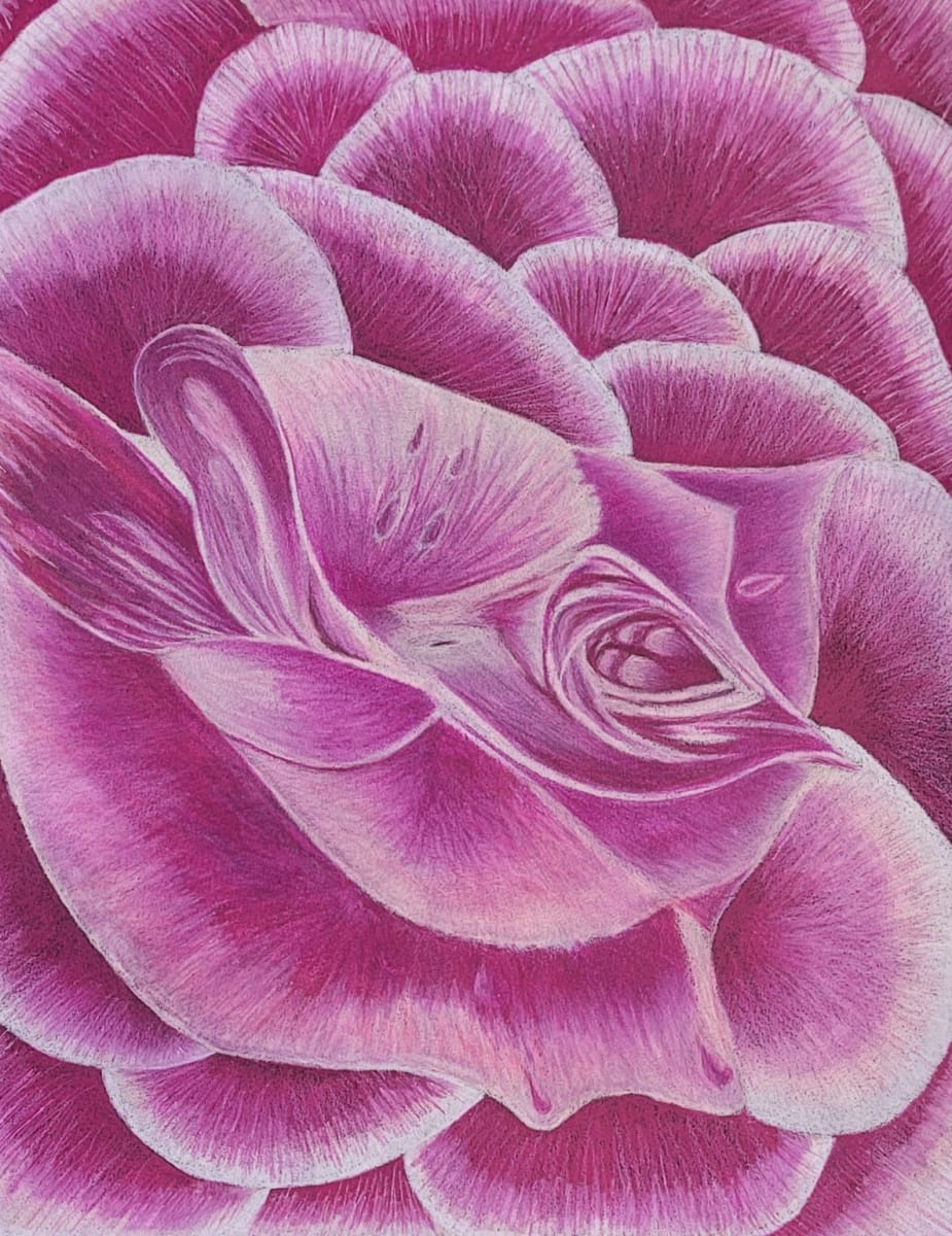 The Perfect Rose by Barbara J Zipperer 