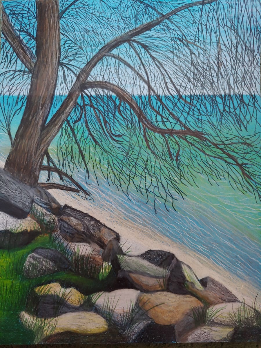 Two Creeks Park by Barbara J Zipperer, Image 1.
