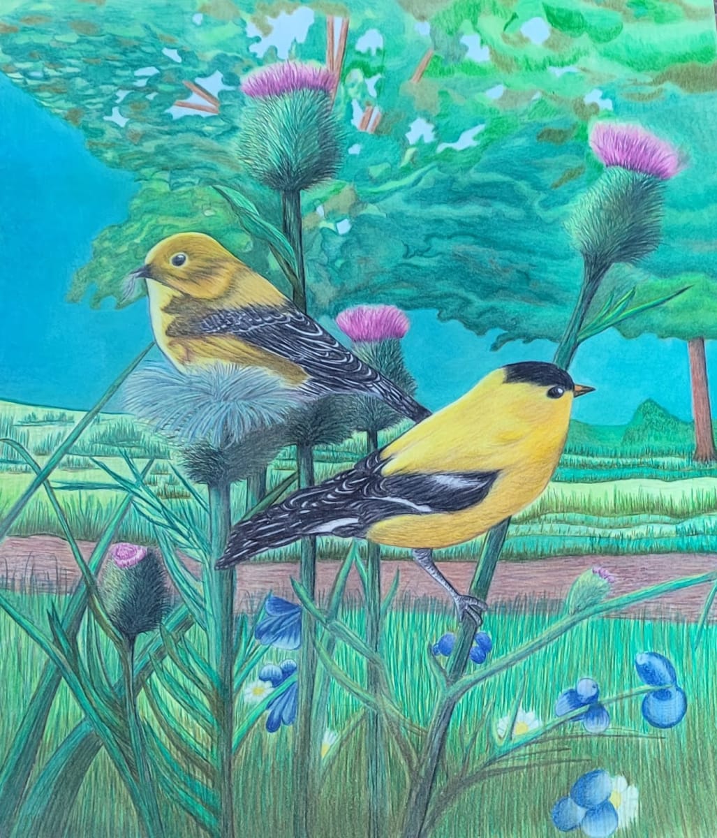 Two Finch by Barbara J Zipperer 