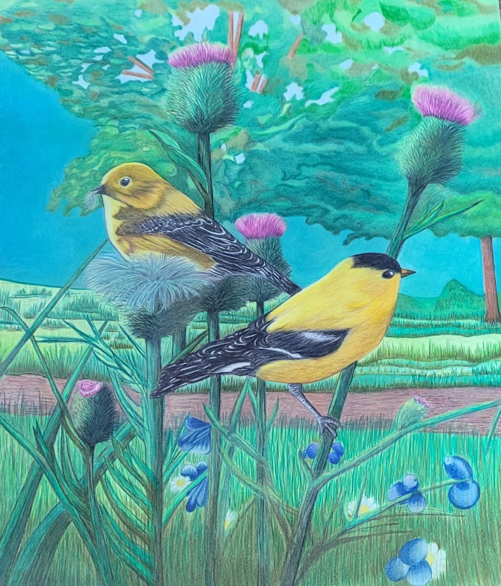 Two Finch by Barbara J Zipperer  Image: Sometimes, the smallest visitors bring the greatest joy.

“Two Finch” captures a quiet moment between feathered friends—perched side by side, sharing the morning light. Their bright plumage and lively presence remind us to notice the simple wonders just outside our window. This piece brings a touch of nature’s companionship and color into your home.

Where would you let a little songbird cheer brighten your day?
Available in my online gallery.
#TwoFinch #barbarajzipperer