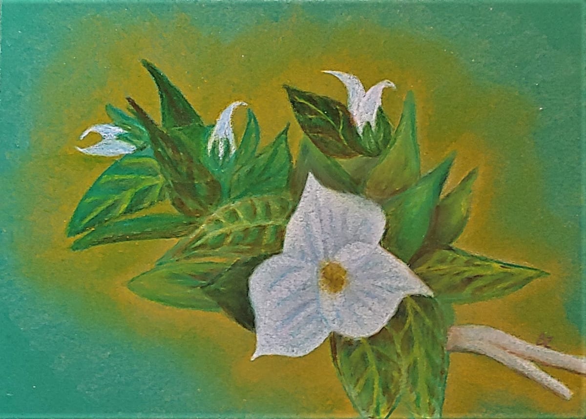Trillium by Barbara J Zipperer, Image 1.