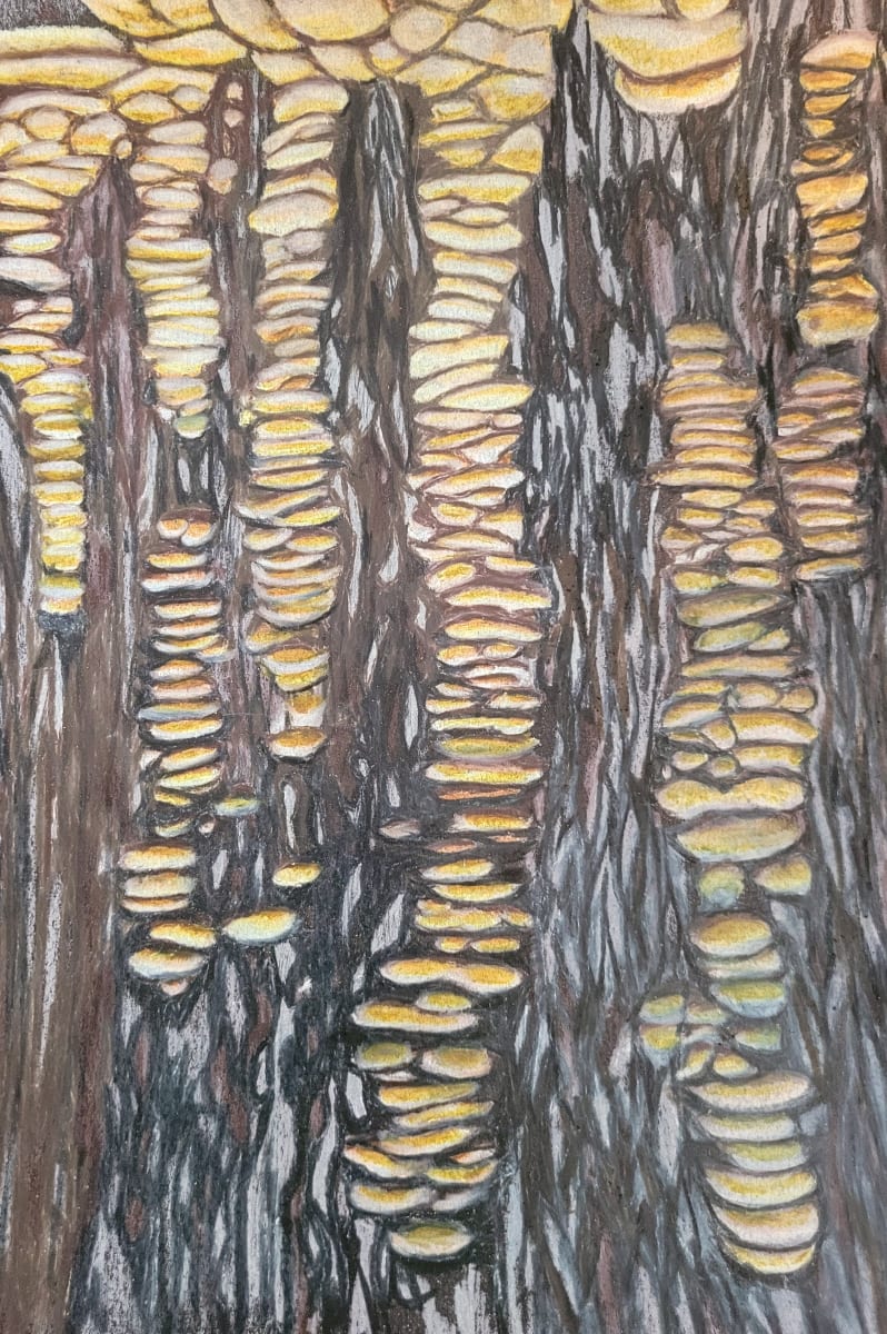 Fairy Ladders by Barbara J Zipperer, Image 1.