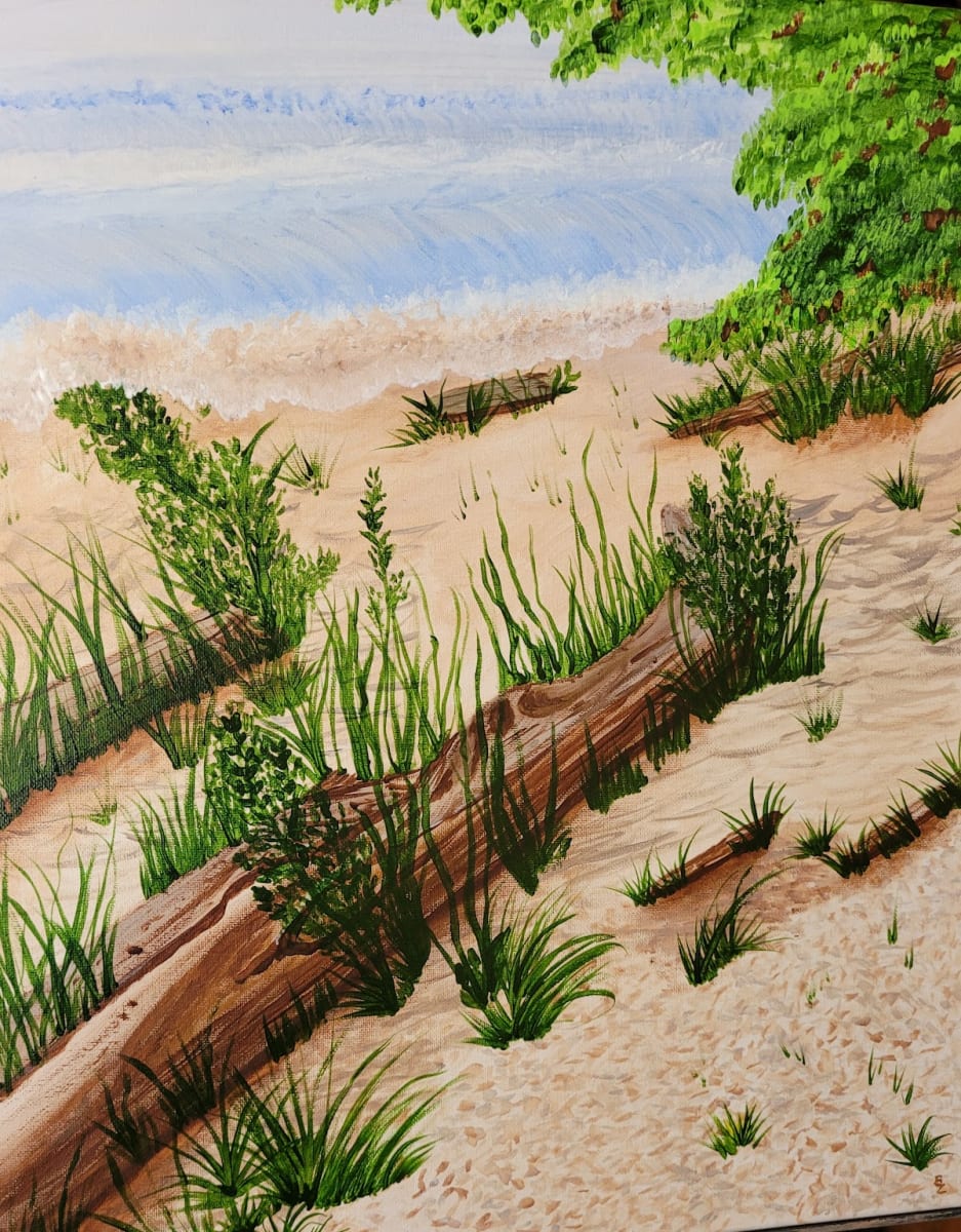 Driftwood by Barbara J Zipperer, Image 1.