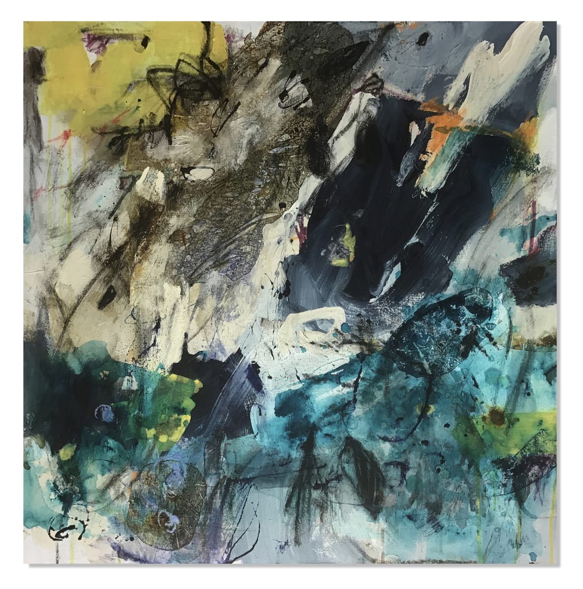 Transparent by Jane Burton 