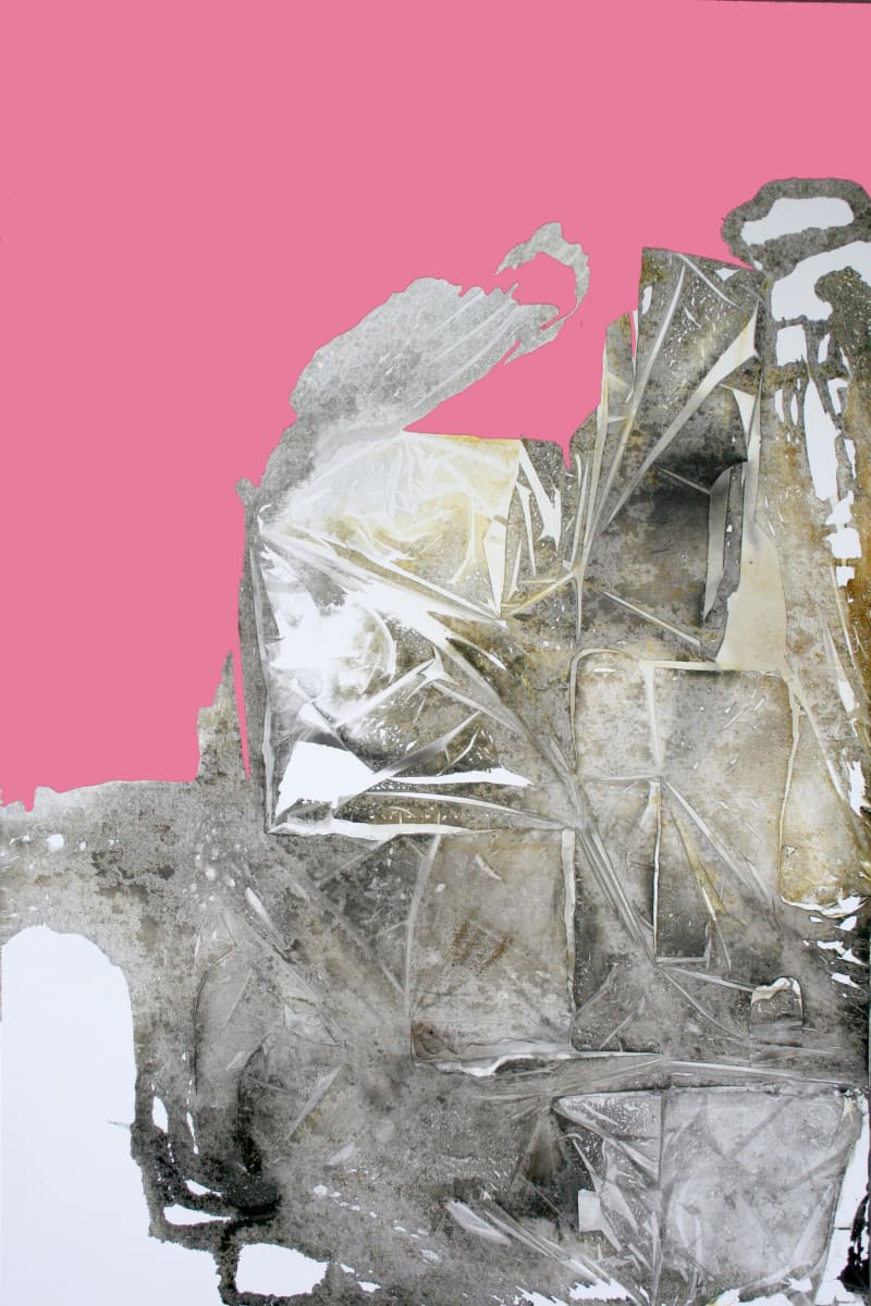 Pink Sky by Jane Burton 