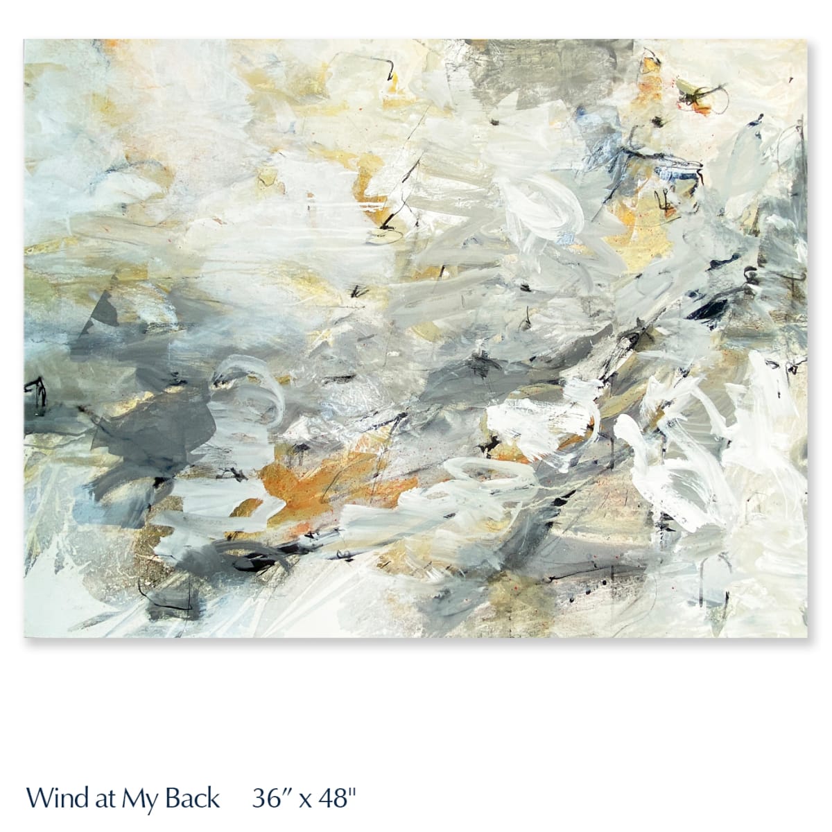 Wind at My Back by Jane Burton, Image 1.