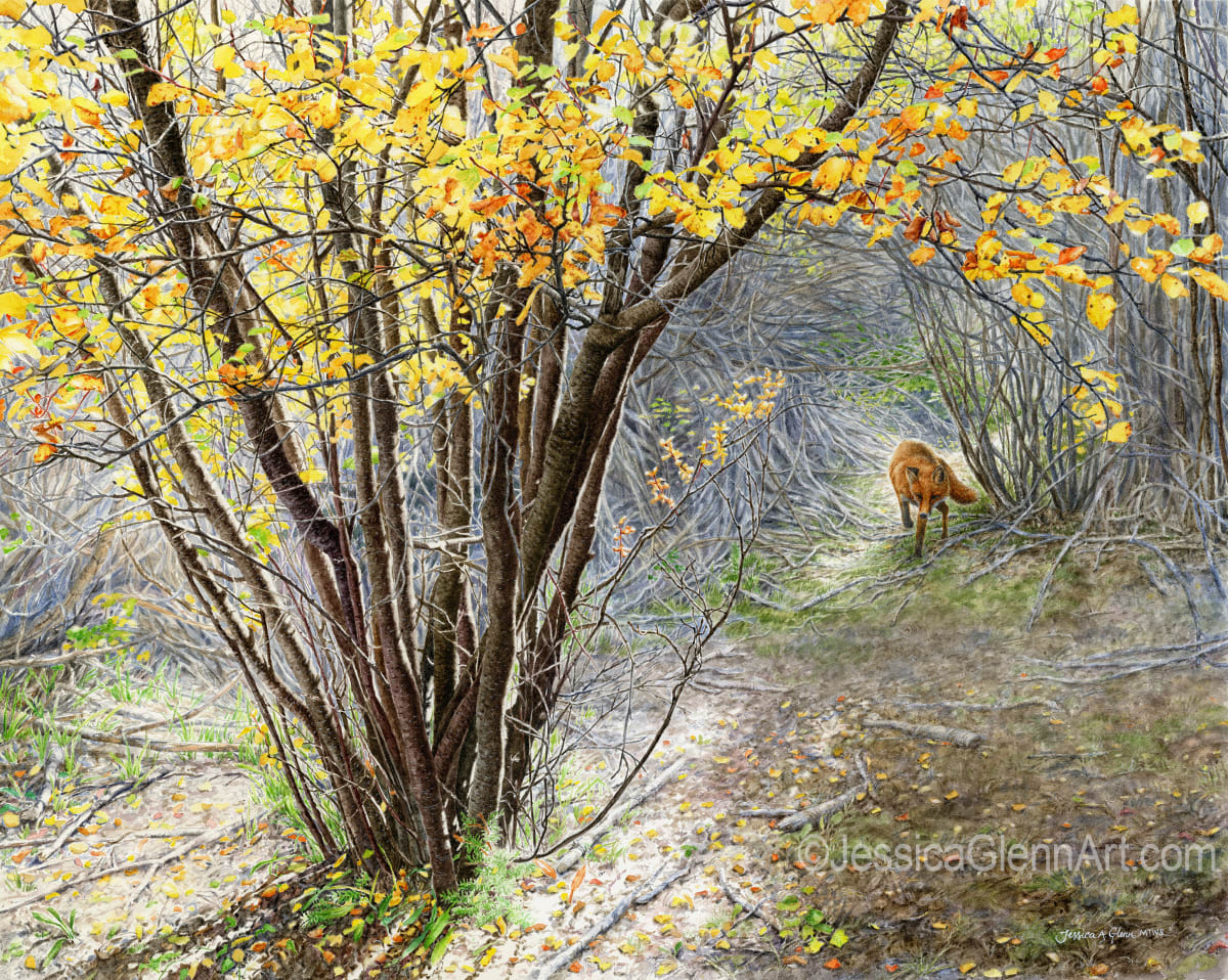 Autumn Comes Creeping by Jessica Glenn 