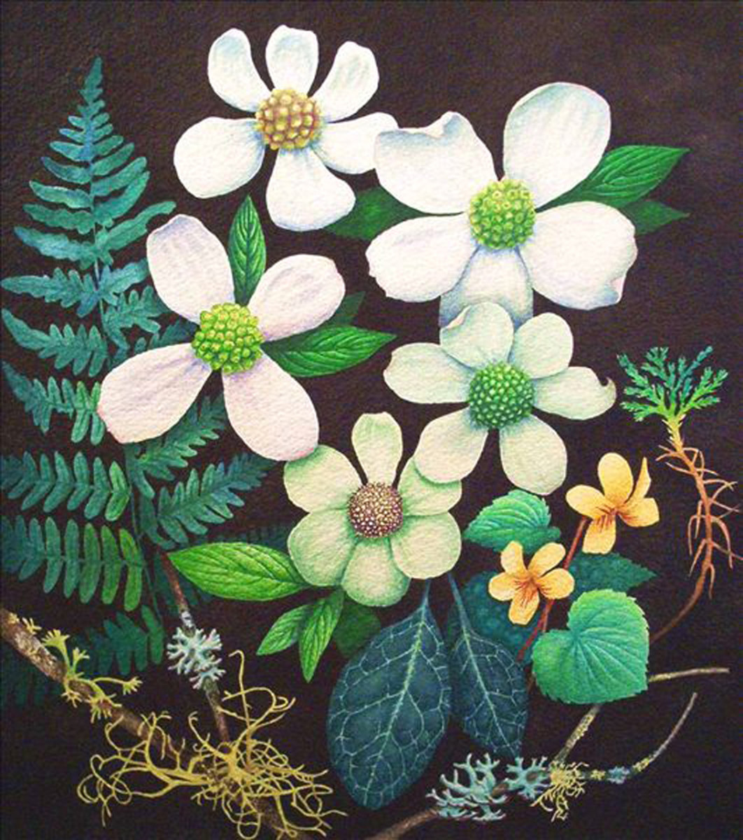 Dogwoods by Jessica Glenn 