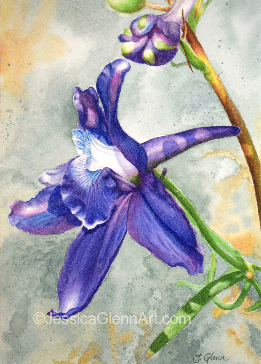 Larkspur 2 by Jessica Glenn 