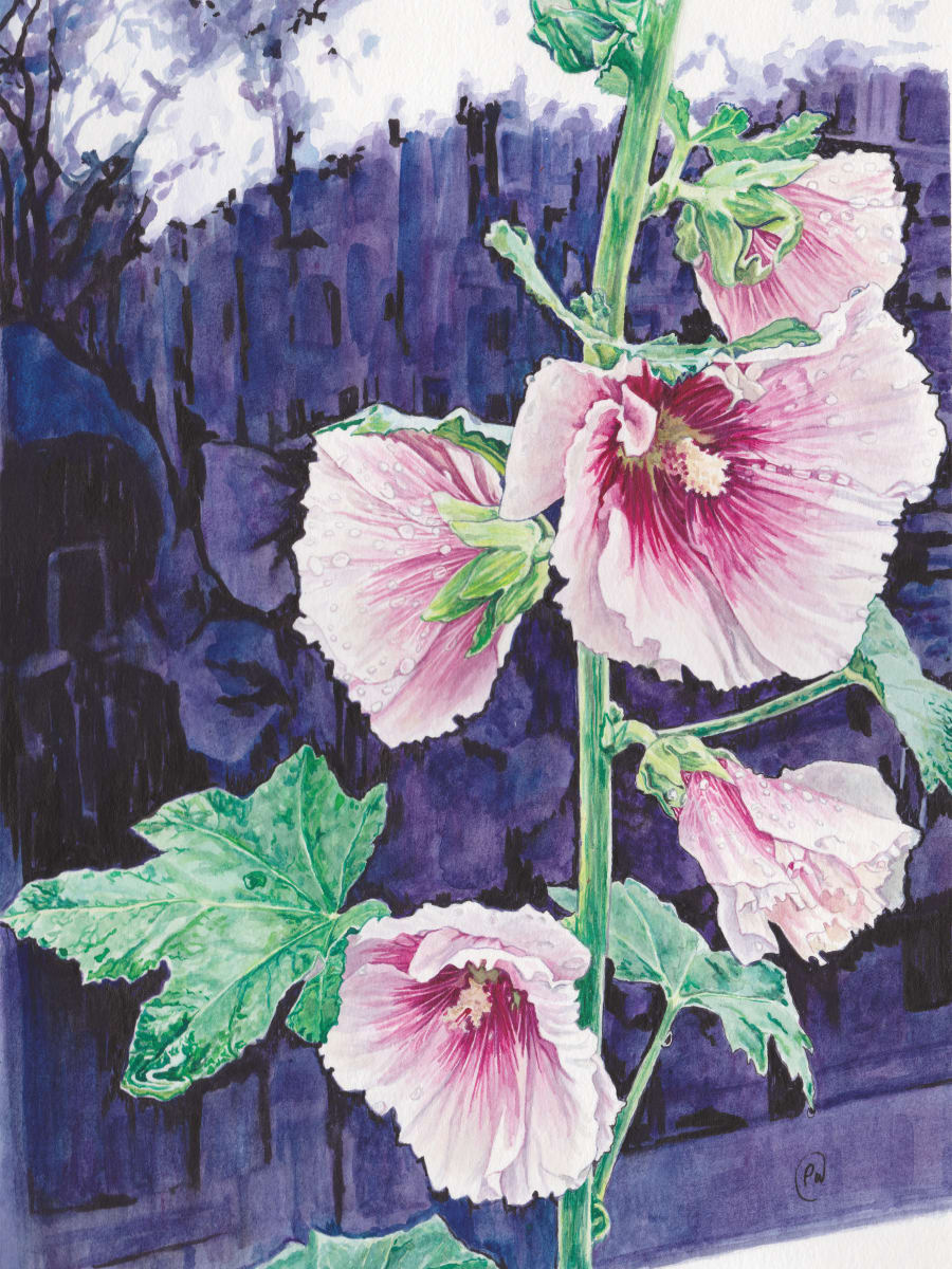 Amsterdam Hollyhocks #3 by Paige Wallis 