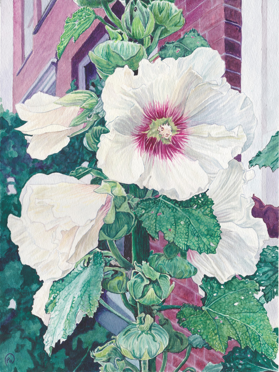 Amsterdam Hollyhocks #1 by Paige Wallis 