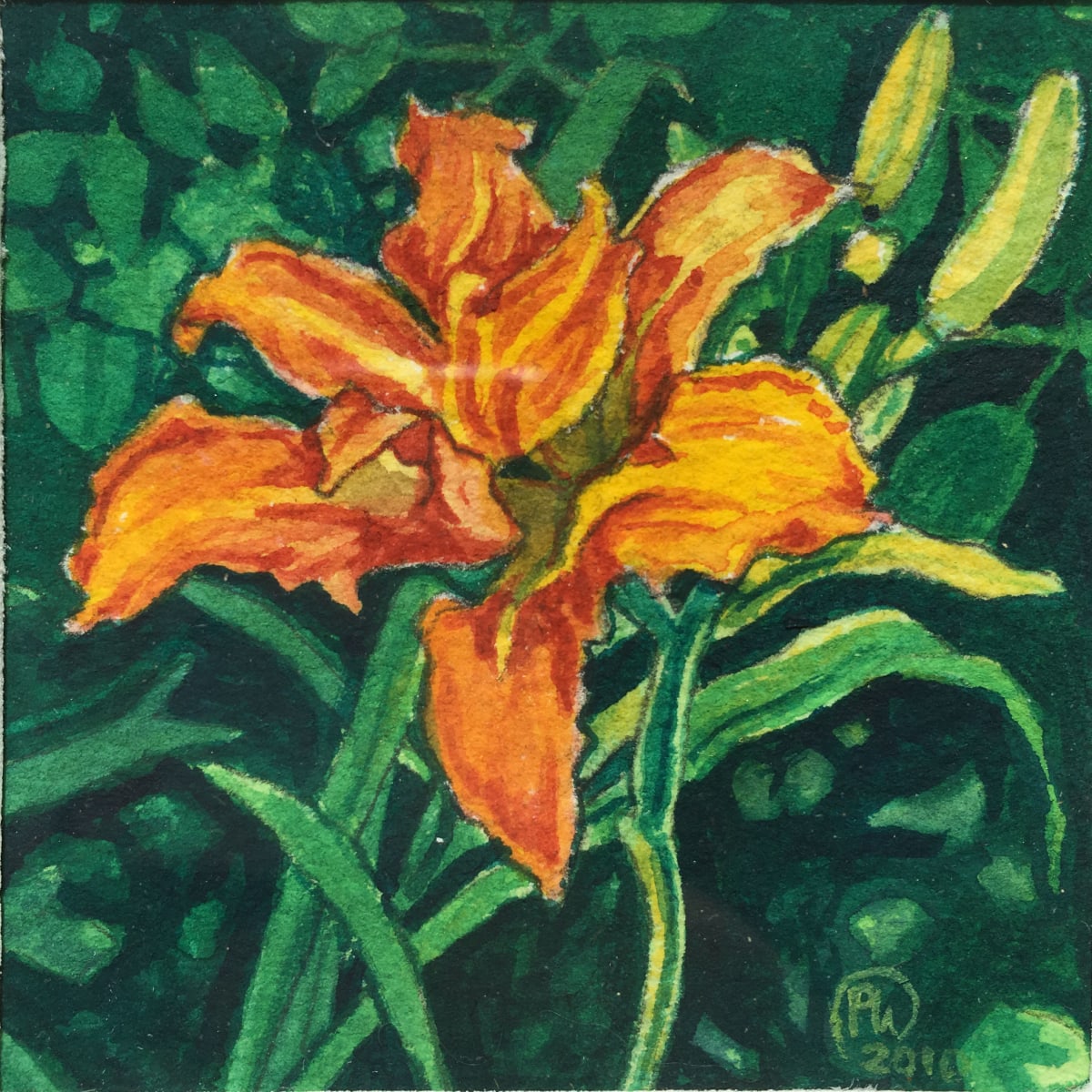 Diminutive Daylily by Paige Wallis 